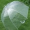 8-Rib Transparent Bubble Umbrella 3