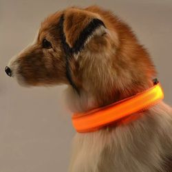 Battery Powered Luminous Dog Collar