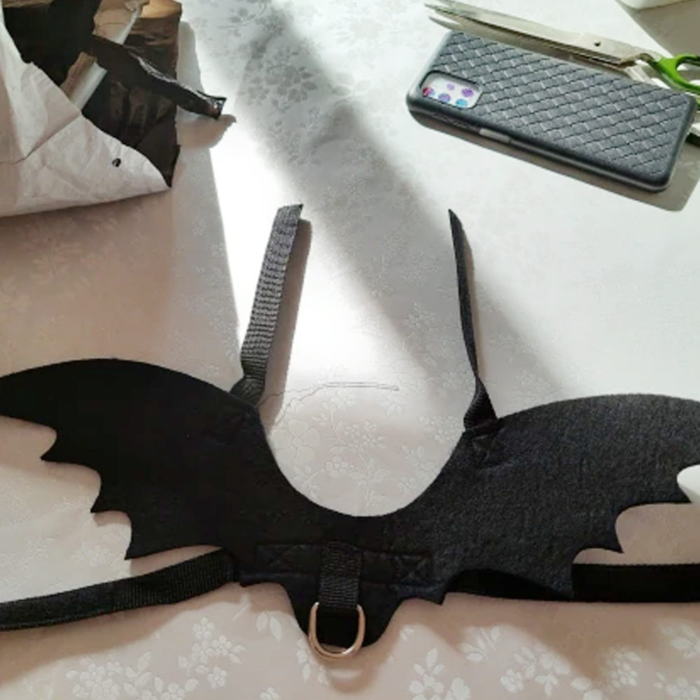 3catbatwings