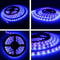 Black Light LED Strip 2