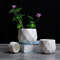 diamondplanter6