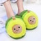 1avocadoslippers