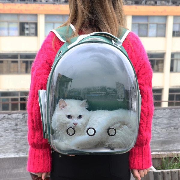 Cat top transparent backpack