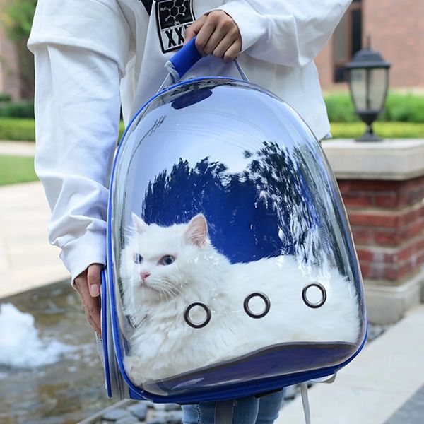 clearbubblecatbackpack