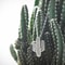cactusnecklace5