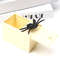 Fake Spider In Box Surprise Prank Gift 1