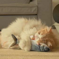 Floppy Fish Cat Toy For Your Cat