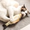 floppy fish cat toy