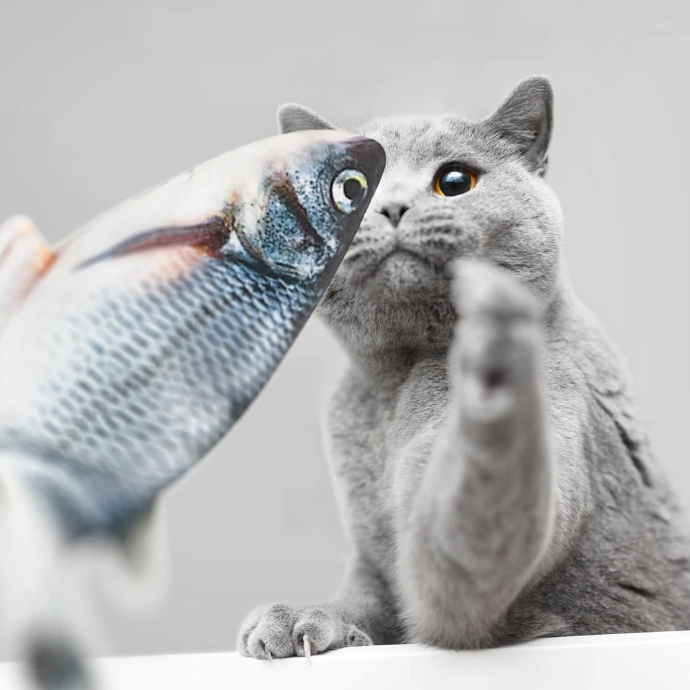 Interactive Floppy Fish Cat Toy Engaging Fishcat for Active Play