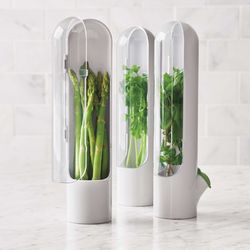 Glass Storage Container Fresh Herb Keeper