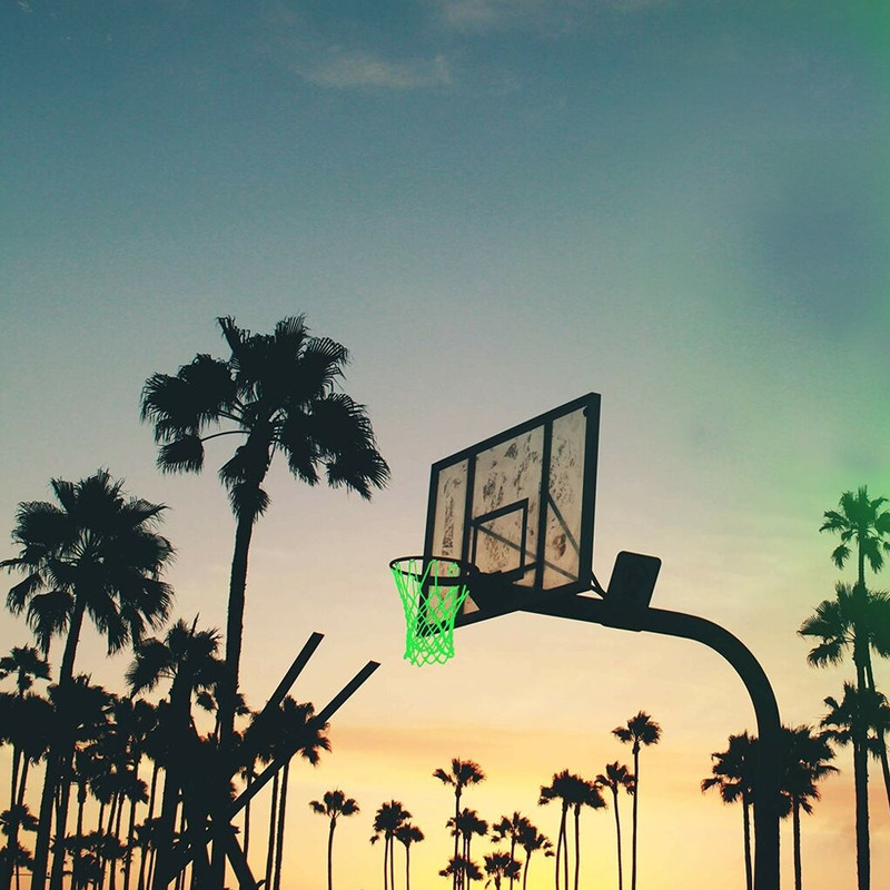 Buy LED glow in the dark basketball net online