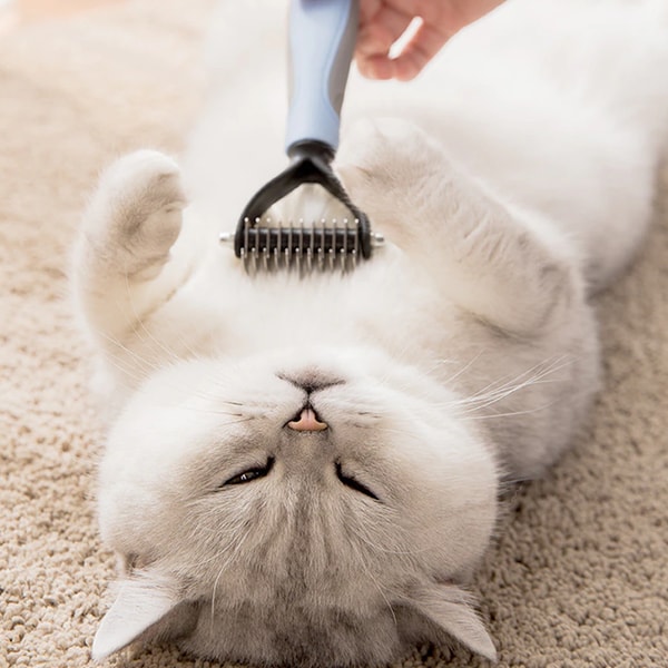 Best Dematting Comb for Pets Inspire Uplift Grooming Tool | Inspire Uplift