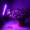 Indoor Led Plant Grow Light Strip 3