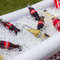 Inflatable Buffet Cooler Tray With Drain For Parties, Tailgating & Camping 3