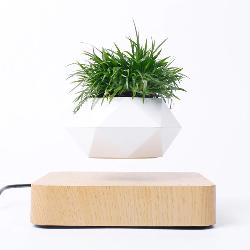 Magnetic Levitating Plant Pot For Bonsai, Real & Fake Plants Lightwood base