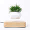 Magnetic Levitating Plant Pot For Bonsai, Real & Fake Plants Lightwood base