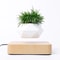 Magnetic Levitating Plant Pot For Bonsai, Real & Fake Plants Lightwood base