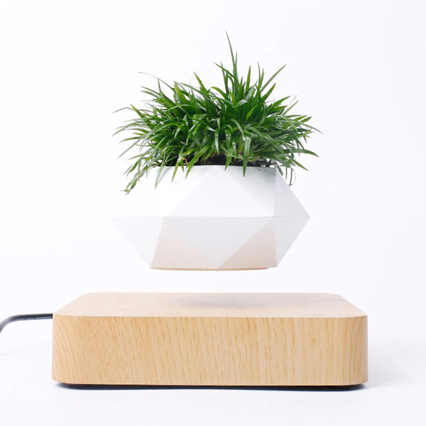 magneticlevitatingplantpotforbonsairealfakeplantslightwoodbase