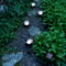 Paw Print Solar LED Garden Lights EcoFriendly Outdoor Decor