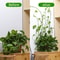 plantclimbingwallfixture4