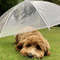 dog umbrella6