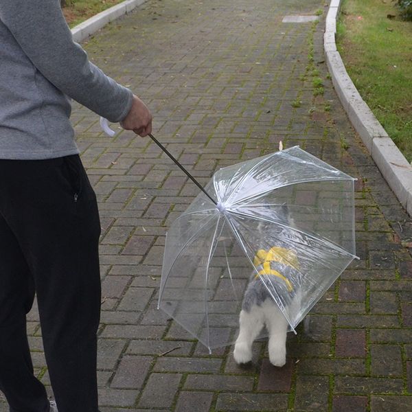 dog umbrella8