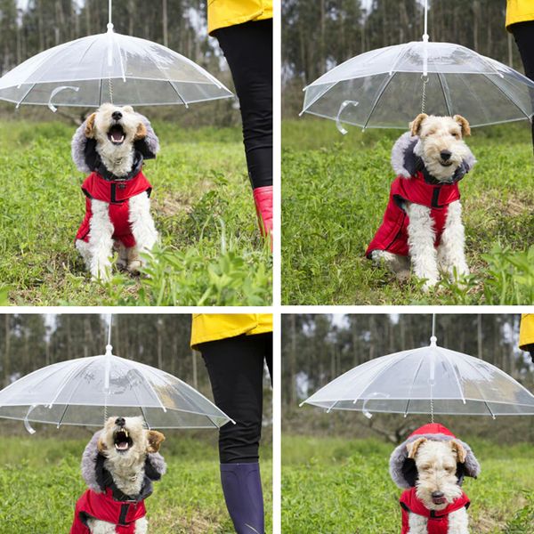 dog umbrella9