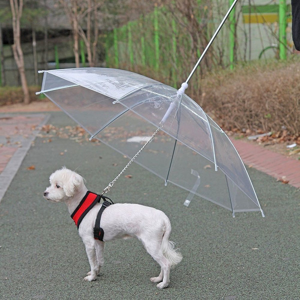 dog umbrella1