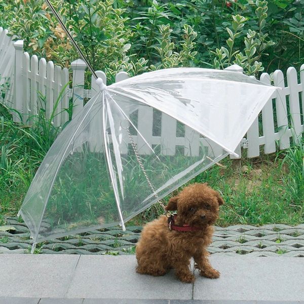 dog umbrella2