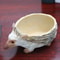Resin Hedgehog Planter 4