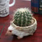 Resin Hedgehog Planter 3