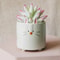Cartoon Animal Shaped Ceramic Flower Pots Cat