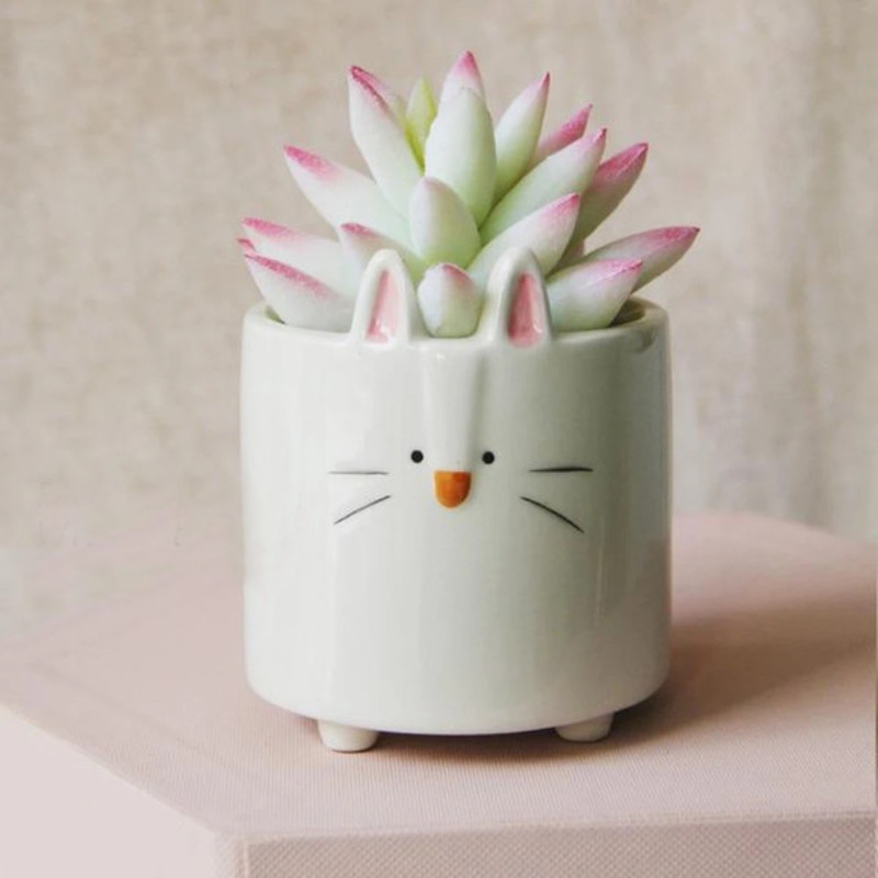 Cartoon Animal Shaped Ceramic Flower Pots Cat