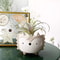 Cartoon Animal Shaped Ceramic Flower Pots Owl