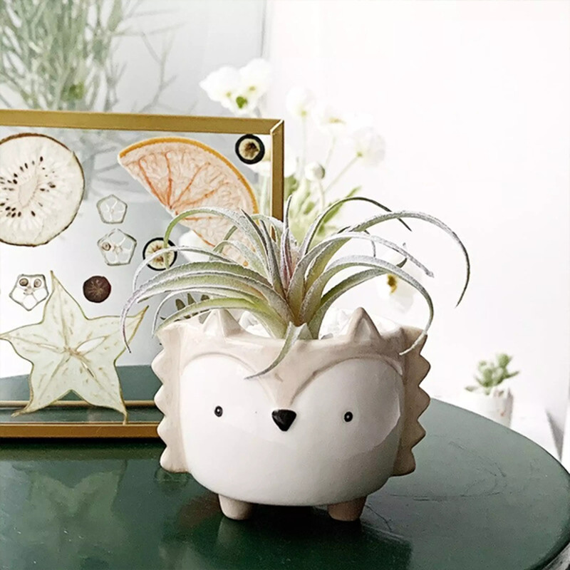 Cartoon Animal Shaped Ceramic Flower Pots Owl
