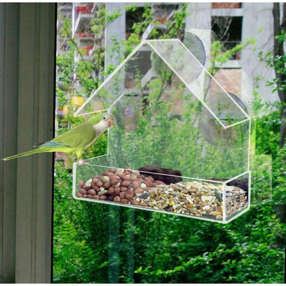 Little House Clear Bird Feeder