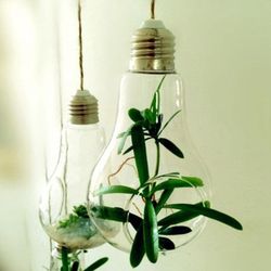 modern light bulb planter