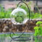 Teardrop Glass Terrarium 5