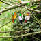 Birds Stained Window Panel Hangings 3.png