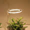 Grow Lights For Indoor Plants.png