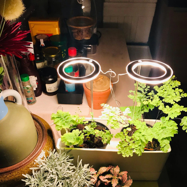 Grow Lights For Indoor Plants2.png