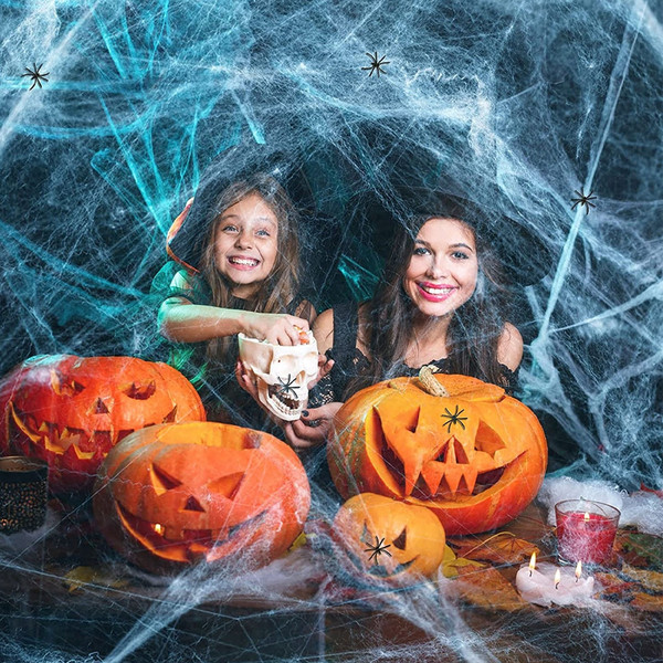 Spooky Halloween Spider Web Décor (1).jpg