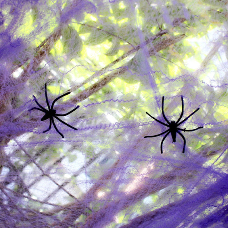 Spooky Halloween Spider Web Décor 4