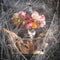 Spooky Halloween Spider Web Décor 1