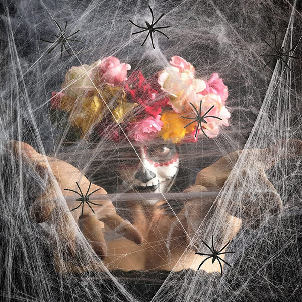 Spooky Halloween Spider Web Décor (8).jpg