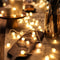 LED Ball String Lights For Indoor & Outdoor Décor 1