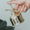 Mini Brass Plant Spray Mister (2).jpg