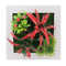 Succulent Wall Hanger Frame (16).png