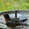 Solar Powered Garden Fountain (9).jpg
