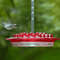 Hummingbird Feeder 2